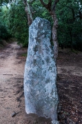 Menhir de la Pedra Dreta