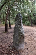 Menhir de la Pedra Dreta