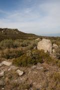 Coll de Bosc de la Margalla 4de4