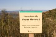 Cartell: Dolmen Vinyes Mortes II. 1de3