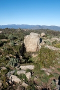 Cista del bosc de la Margalla