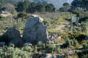 Cista del bosc de la Margalla