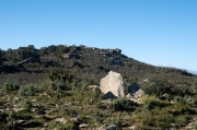 Cista del bosc de la Margalla