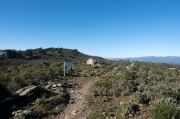 Cista del bosc de la Margalla