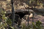 Dolmen de Ceuró