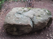 Pedra de Collserola