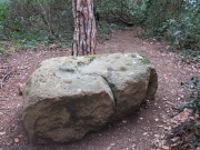Pedra de Collserola