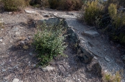 Dolmen del Coll de Madas III