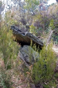 Sepulcre de corredor del Coll de Madas II