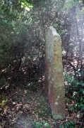 Menhir de l'Avi