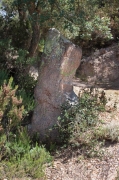 Menhir Motllor