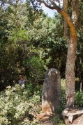 Menhir d'en LLach