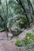 Rocas.Tavèrnoles