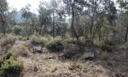 Dolmen de Vilanova