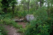 Dolmen La Griutera 3de3