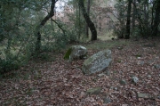 Enterraments del Bosc de Can Verdeguer