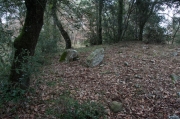 Enterraments del Bosc de Can Verdeguer