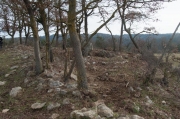 Dolmen de la Casa Nova del Verdeguer