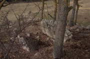 Dolmen de la Casa Nova del Verdeguer