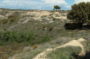 Vista general  de les trinxeres.