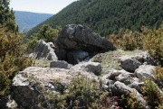 Dolmen del coll Durau.