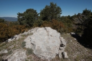 Dolmen del coll Durau.