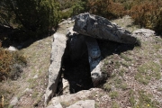 Dolmen del coll Durau.