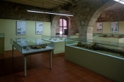 Sala de Paleontologia.