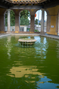Passejant pel poble