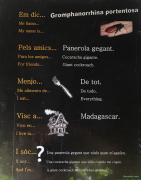 Cartell informatiu