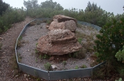Sepulcre de roca Sareny.Parc Natural de Sant Llorenç del Munt i l'Obac