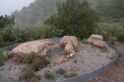 Sepulcre de roca Sareny.Parc Natural de Sant Llorenç del Munt i l'Obac