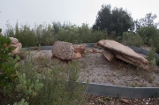 Sepulcre de roca Sareny.Parc Natural de Sant Llorenç del Munt i l'Obac