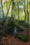 Parc Natural zona volcànica Garrotxa