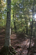 Parc Natural zona volcànica Garrotxa