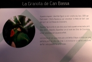 Cartell: La Granota