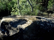 Dolmen de Castelltallat.Sant Mateu del Bages.