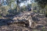 Dolmen de Castelltallat