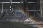 Arc de Sant Marti ( Arco Iris )