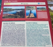 Cartell: Salines de Addaia