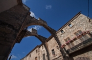 Passejant per: Vallbona de Monges.