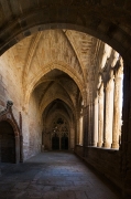 Passejant per: Vallbona de Monges