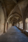 Passejant per: Vallbona de Monges