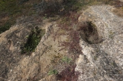 La necrópolis rupestre del Tossal de les Forques.