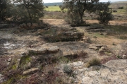 La necrópolis rupestre del Tossal de les Forques.