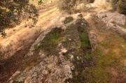 La necrópolis rupestre del Tossal de les Forques.