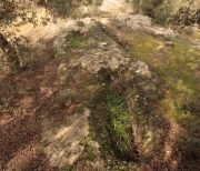 La necrópolis rupestre del Tossal de les Forques.