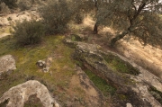 La necrópolis rupestre del Tossal de les Forques.