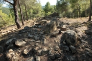 Túmul funerari, Vinya d’en Valle.