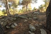 Túmul funerari, Vinya d’en Valle.